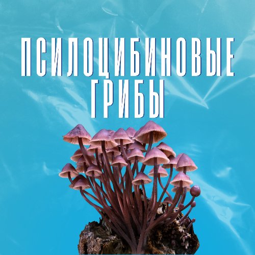 Псилоцибиновые грибы